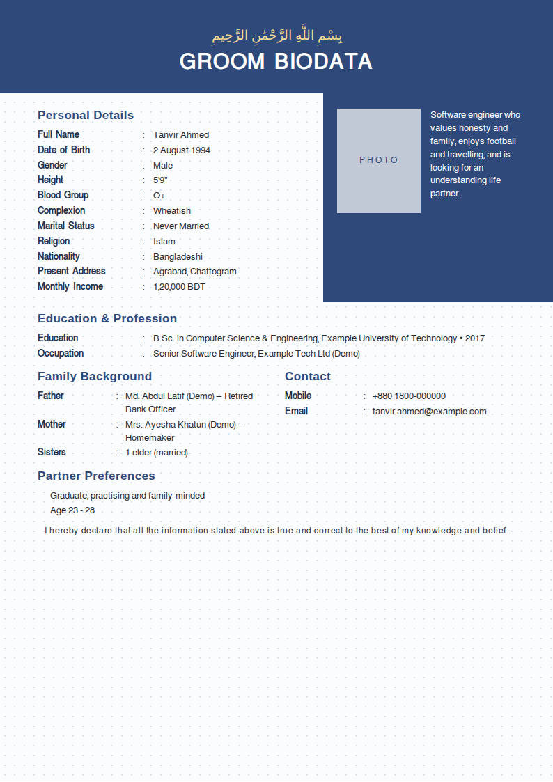 Navy Panel Biodata CV template — filled-in A4 design preview with example experience, education and skills