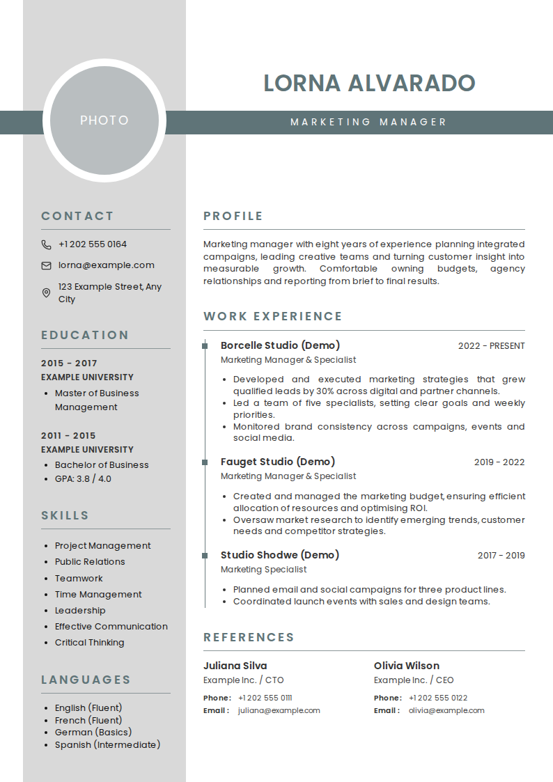 Slate Band CV template — filled-in A4 design preview with example experience, education and skills