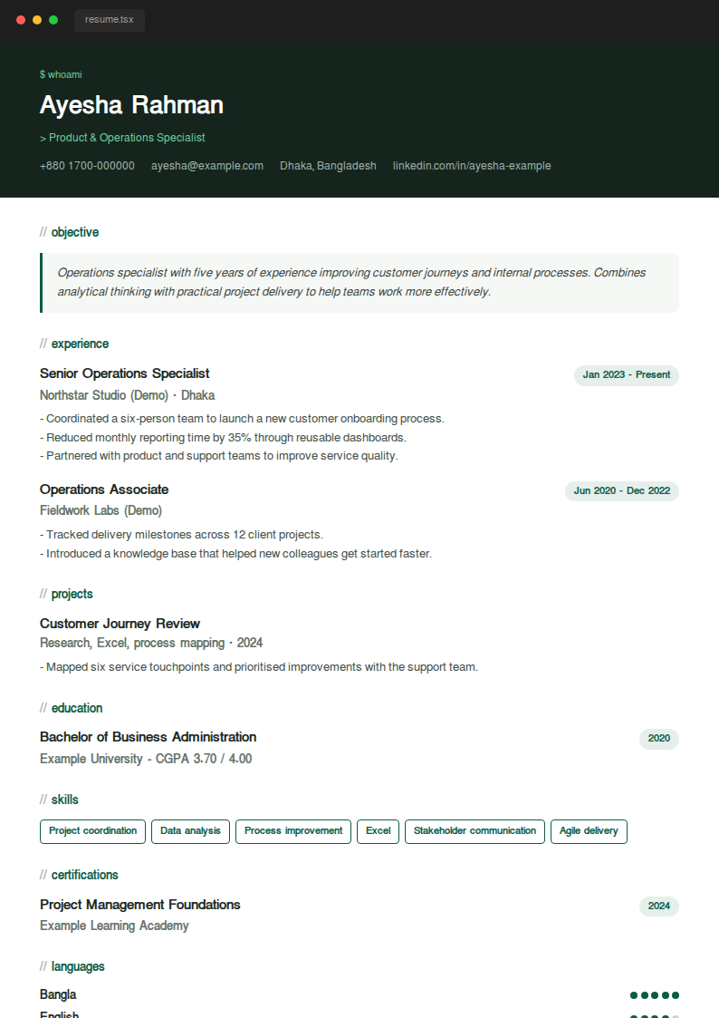 Terminal — Developer / code
