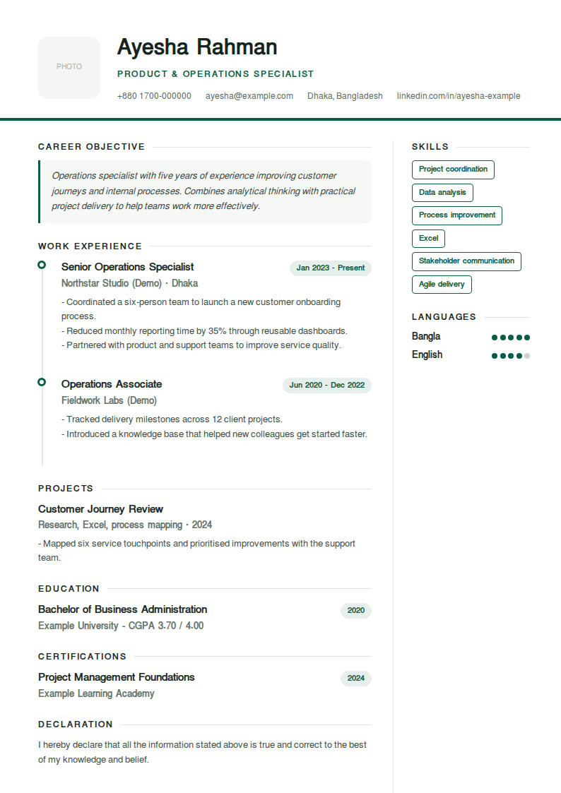 Timeline — Career journey